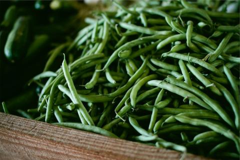 fresh green beans