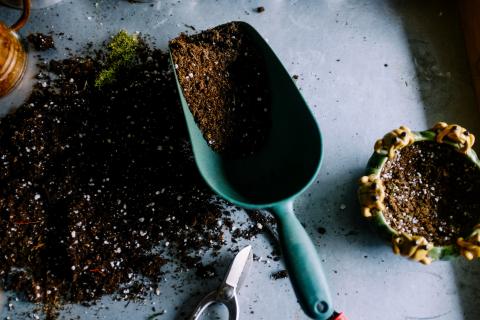 soil on potting table