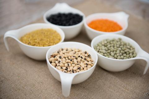 diferentes tipos de frijoles