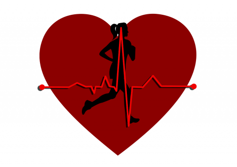 heart/runner