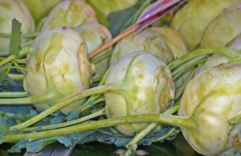 Fresh kohlrabi