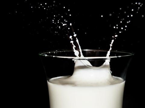 milksplash