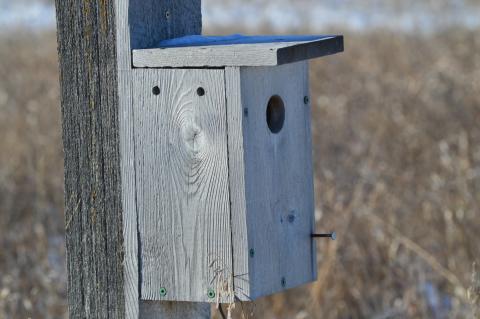 birdhouse