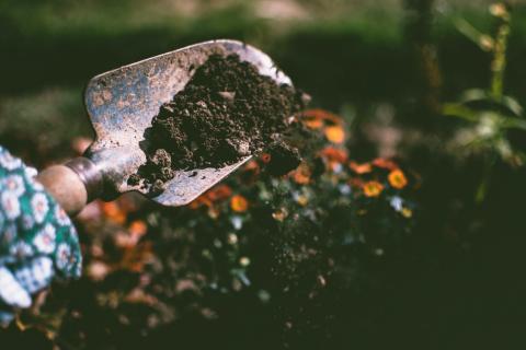 Person digging soil