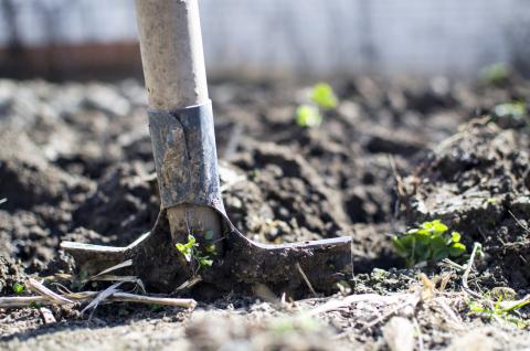 Garden Tool in Dirt