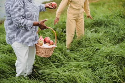 Two faceless women stand in a field of grass, one holds a basket of apples.