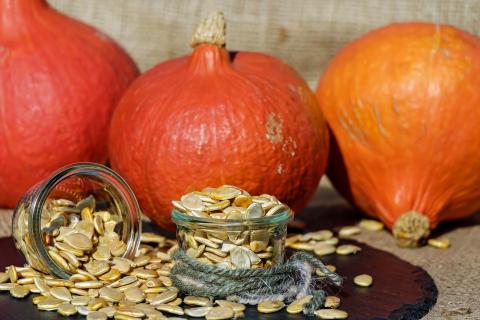 Tips For Properly Harvesting and Saving Heirloom Seeds - Farmers' Almanac -  Plan Your Day. Grow Your Life.