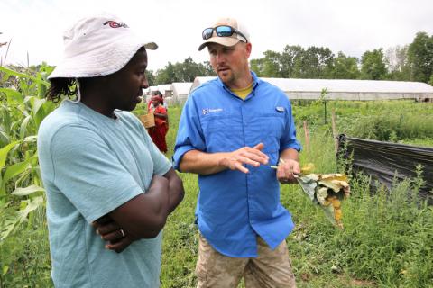 two men are standing in a farm's field. around them are green plants. the man on the left has his arms crossed and is listening to the man on the right. the man on the right is wearing a blue shirt and holding dead leaves. he is explaining something to the man on the left.