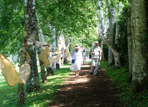 Two people walk along a tree-lined path. On the left, pieces of tan cloth are strung between the white birch trees. One of the people on the path is an older woman in a white dress and sun hat. She is looking at the path. Next to her is an older man with a white hat and a mustache. He is holding a camera.