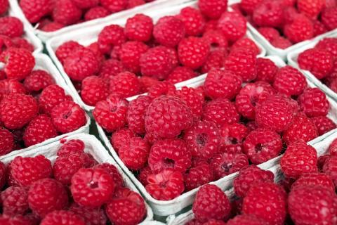 Fresh picked raspberries in individual containers