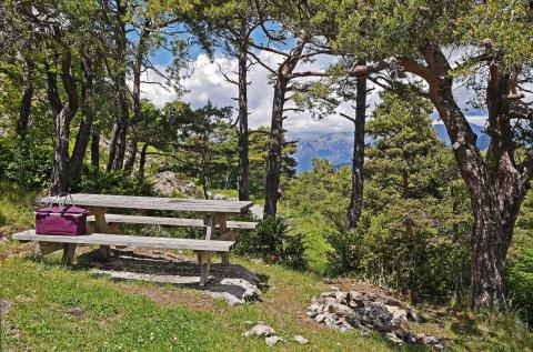 A picnic table on a wooded and rocky hill in the summer.