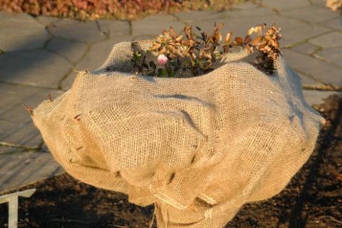 Burlap, Natural, FR from Rose Brand