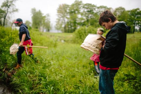 School-aged children participate in a science project. Three children are walking in a grassy area near a stream and are holding nets to collect specimens.