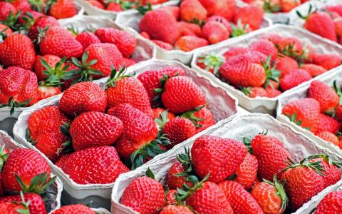 Fresh ripe strawberries in containers.