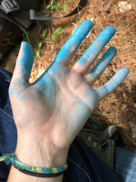 hand covered in blue tree-marking paint