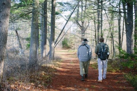 Two people walking down a trail in the woods.