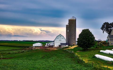 Dairy farm and fields with clouds in the distance