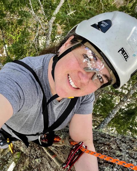Pictured is County Forester Lindsay Watkins wearing a protective helmet while climbing a tree.