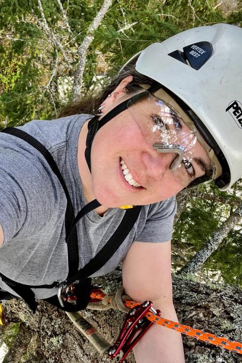 Pictured is County Forester Lindsay Watkins wearing a protective helmet while climbing a tree.