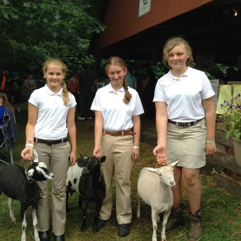 4-H members with goats