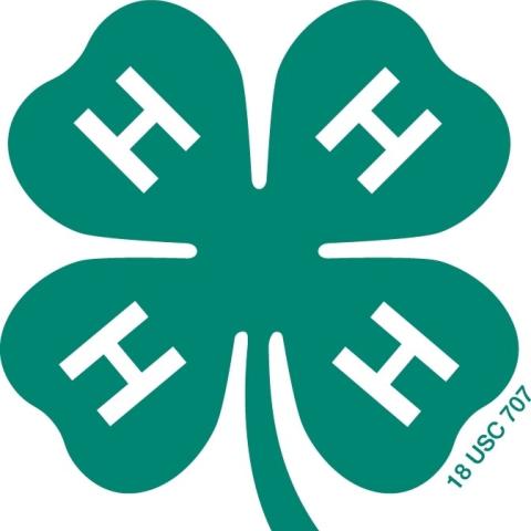 4-H Clover