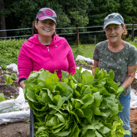 two gardeners in garden