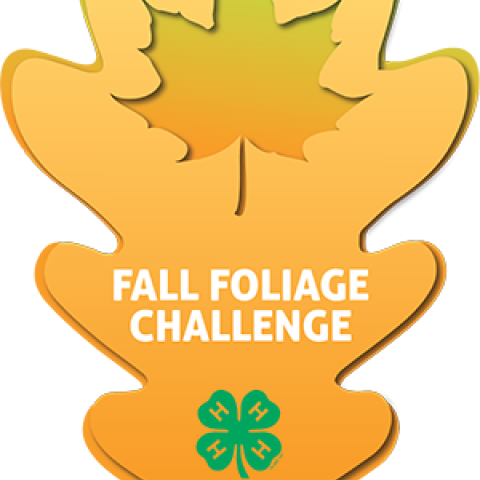 fall foliage challenge patch graphic
