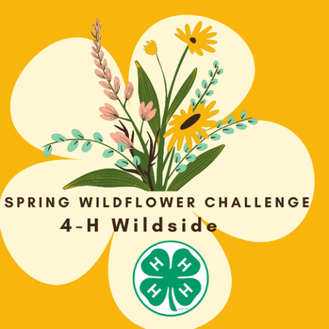 Spring Wildflower Challenge image of the patch to earn