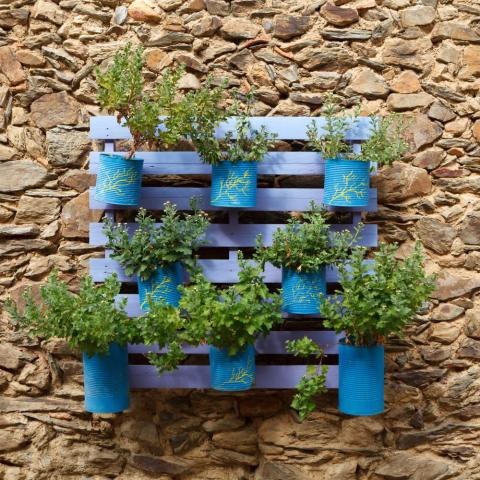 Plants growing in containers on a wall