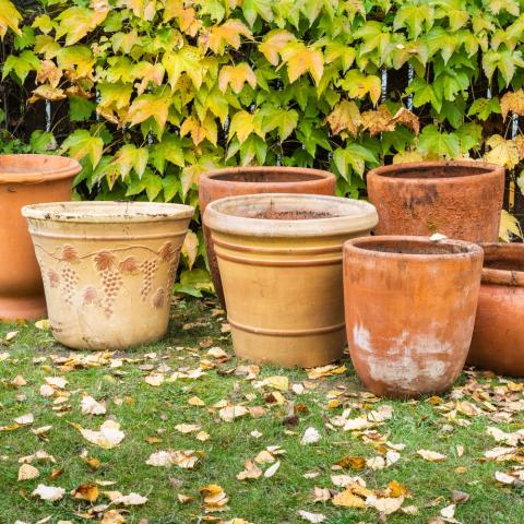Pots outside on the grass