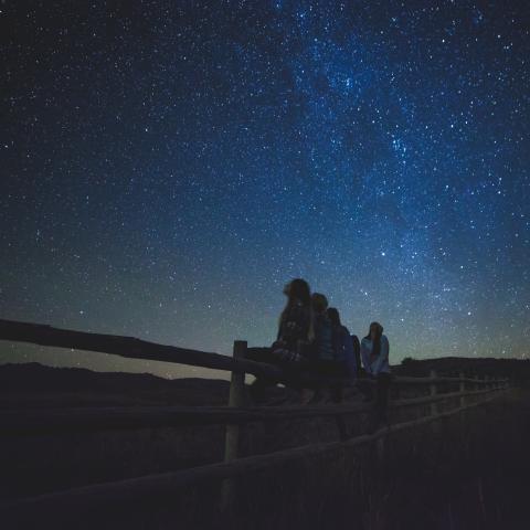People sitting on fence, stargazing