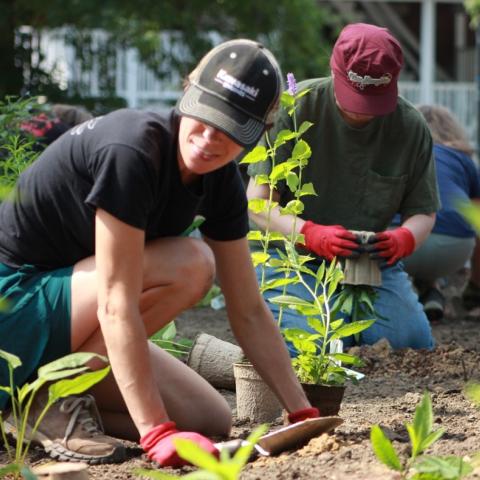 Two people planting a garden next to fence