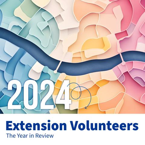 Text that reads 2024 Extension volunteers: The year in review