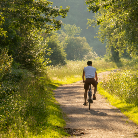 person on bike on trail