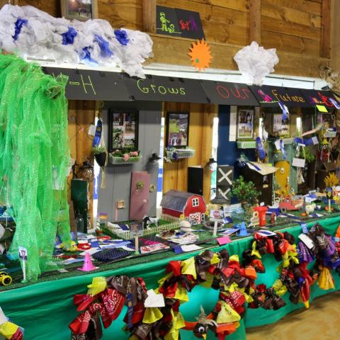 4-H exhibit