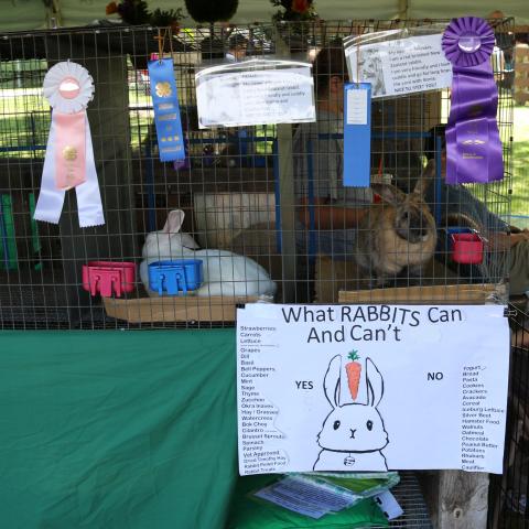 fair exhibit