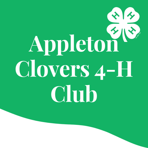appleton clovers icon