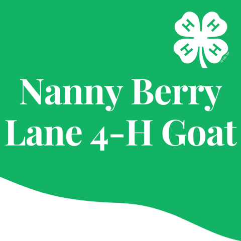 nanny berry lane icon