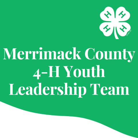 Merrimack County 4-H Youth Leadership Team