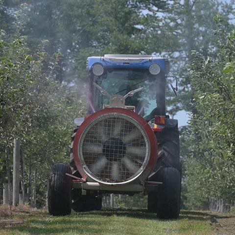 Airblast Sprayer in orchard